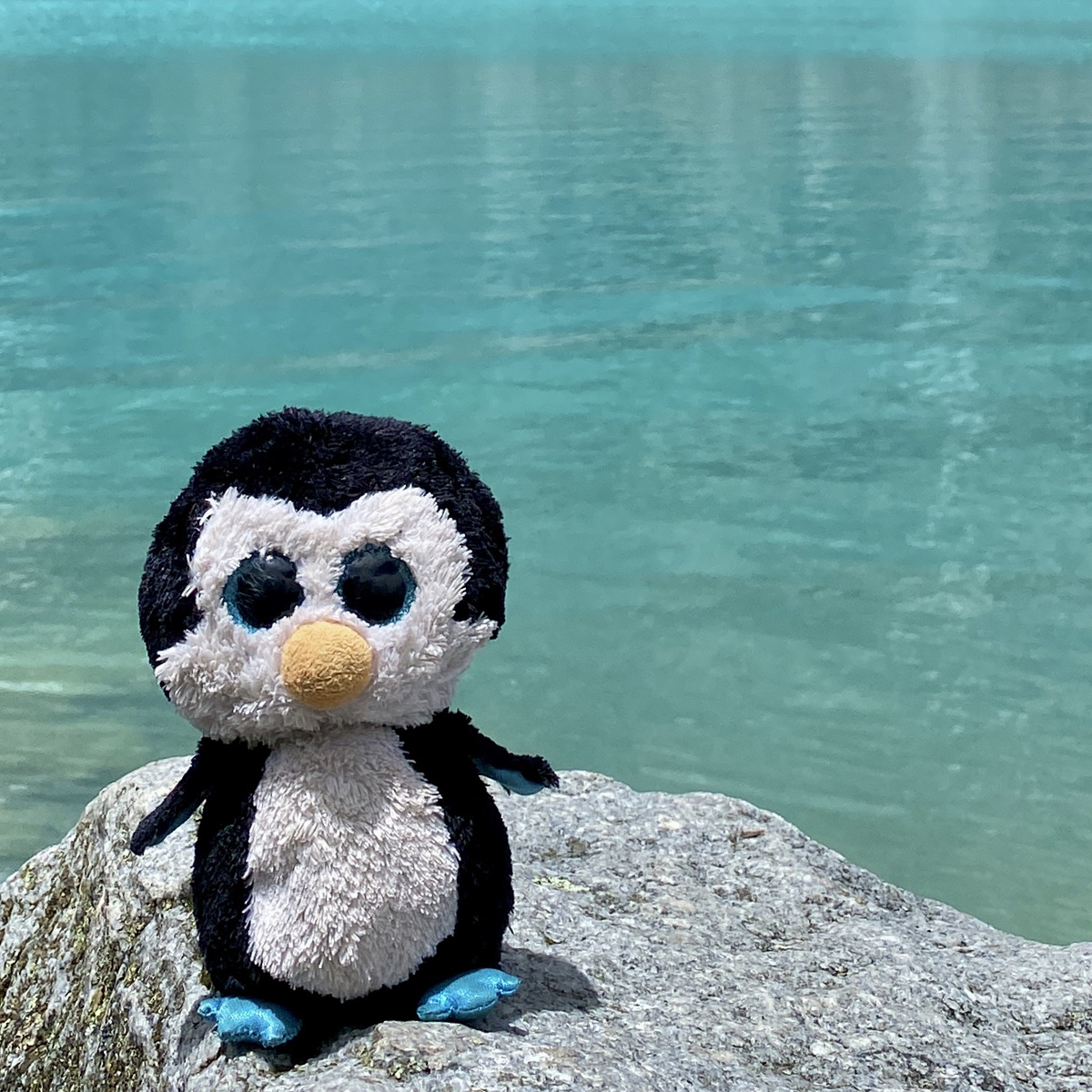 Bingu (Bingubäbis) - My Pengun (My Inner Child)