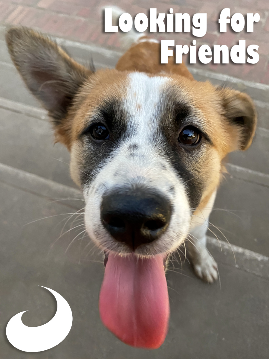 Visit Jimmy Legado Holmevi Official Webpage